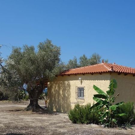 House By The Sea At Skaloma, Loutraki Lago Vouliagmenis Exterior foto