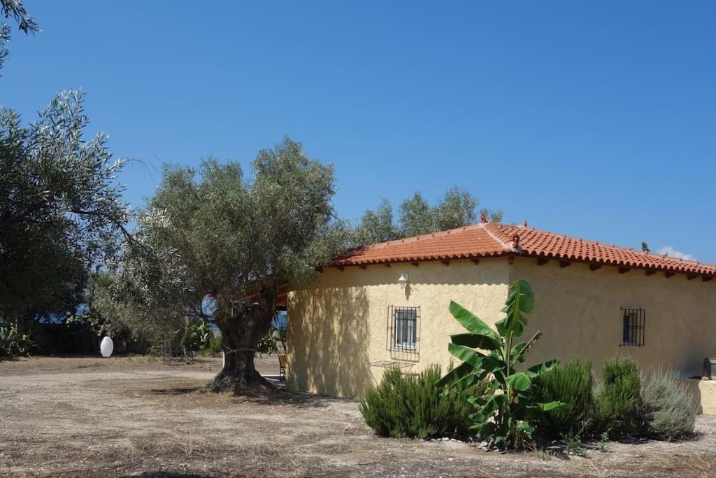 House By The Sea At Skaloma, Loutraki Lago Vouliagmenis Exterior foto